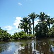 Photos from our canoe trip in Bolivia., Rurrenabaque Bolivia