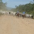 Photos of Bolivian traffic hazards.