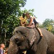 Riding the elephants in Kochi.