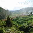 Kochi India Panoramic photos of the Nilgiri Hills in Kerala, India.