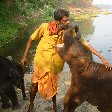 Photos of a baby elephant in India.