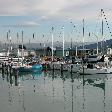 The fishing port of Napier - great restaurants