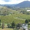 Esk Valley and vineyards - north of Napier, New Zealand, Napier New Zealand