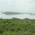 The green forests of Santa Catalina, Colombia.