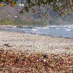 The beaches in Tamarindo