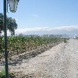 Photos of the Mendoza wine region in Argentina