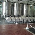 Tour to the Mendoza wineries
