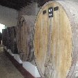 Wine cellars in Mendoza, Argentina