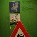 Something about road signs at the Natuurhistorisch Museum in Maastricht