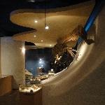 Photos of the Nature Histiry Museum in Maastricht