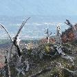 The Carved Forest and the valley of El Boldon