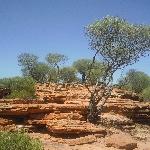 Steep paths to Nature's Window, Kalbarri