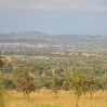 Photos of the Serengeti National Park in Tanzania, Mara Tanzania