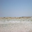 Salt lakes in Etosha National Park, Namibia