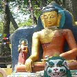 Photos of the Monkey Temple in Katmundu, Myanmar