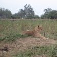 Wildlife Safari Kafue National Park Wildlife Pictures, Zambia