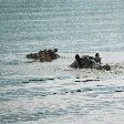 Swimming hippo's in Botswana