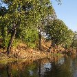 Photos of the Okavango Delta, Botswana