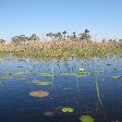 Photos of the Okavango Delta, Botswana