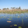 Photos of the Okavango Delta, Botswana
