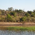 Safari Tours Moremi Wildife Reserve and Chobe National Park, Botswana