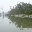 Sundarbans National Park, Bangladesh, Sundarbans Bangladesh