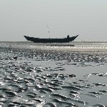 Sundarbans Bangladesh 