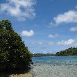 Pictures of our trip to the Tonga Islands