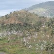 Nouméa New Caledonia The landscape of Northern New Caledonia