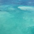 The Caribbean Sea of The Virgin Islands