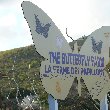 The Butterfly Farm in Philipsburg, Sint Maarten