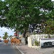 Streetpanoram in Marigot, Martin