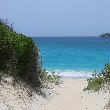 Photos of Saline Beach, Saint Barthelemy