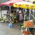 The open air market in Basseterre, Saint Kitts and Nevis