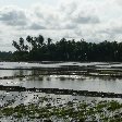 Yala National Park, Sri Lanka