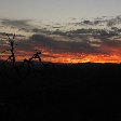 Sunset Pictures of the Mkhaya Game Reserve, Swaziland