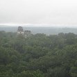 Arenal Guatemala Looking out over the Maya Ruins, Tikal