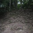 Excursion to the Tikal National Park, Guatemala