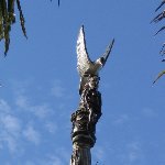 The rooftop of the Windjammer , Wewak Papua New Guinea