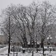Wintertime in the centre of Stockholm Sweden Photograph
