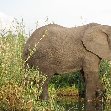 Liwonde Malawi 