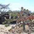 All Inclusive Honeymoon in Aruba Oranjestad Travel Package
