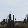 All Inclusive Honeymoon in Aruba Oranjestad Album Photos
