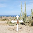 All Inclusive Honeymoon in Aruba Oranjestad Blog Information