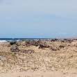 All Inclusive Honeymoon in Aruba Oranjestad Review Sharing All Inclusive Honeymoon in Aruba