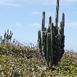 All Inclusive Honeymoon in Aruba Oranjestad Trip All Inclusive Honeymoon in Aruba