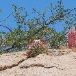   Oranjestad Aruba Review Gallery