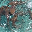 From Belize City to Caye Caulker Island Trip Picture