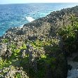 The Landscapes of Niue Island Alofi Blog Sharing