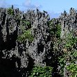 The Landscapes of Niue Island Alofi Travel Adventure